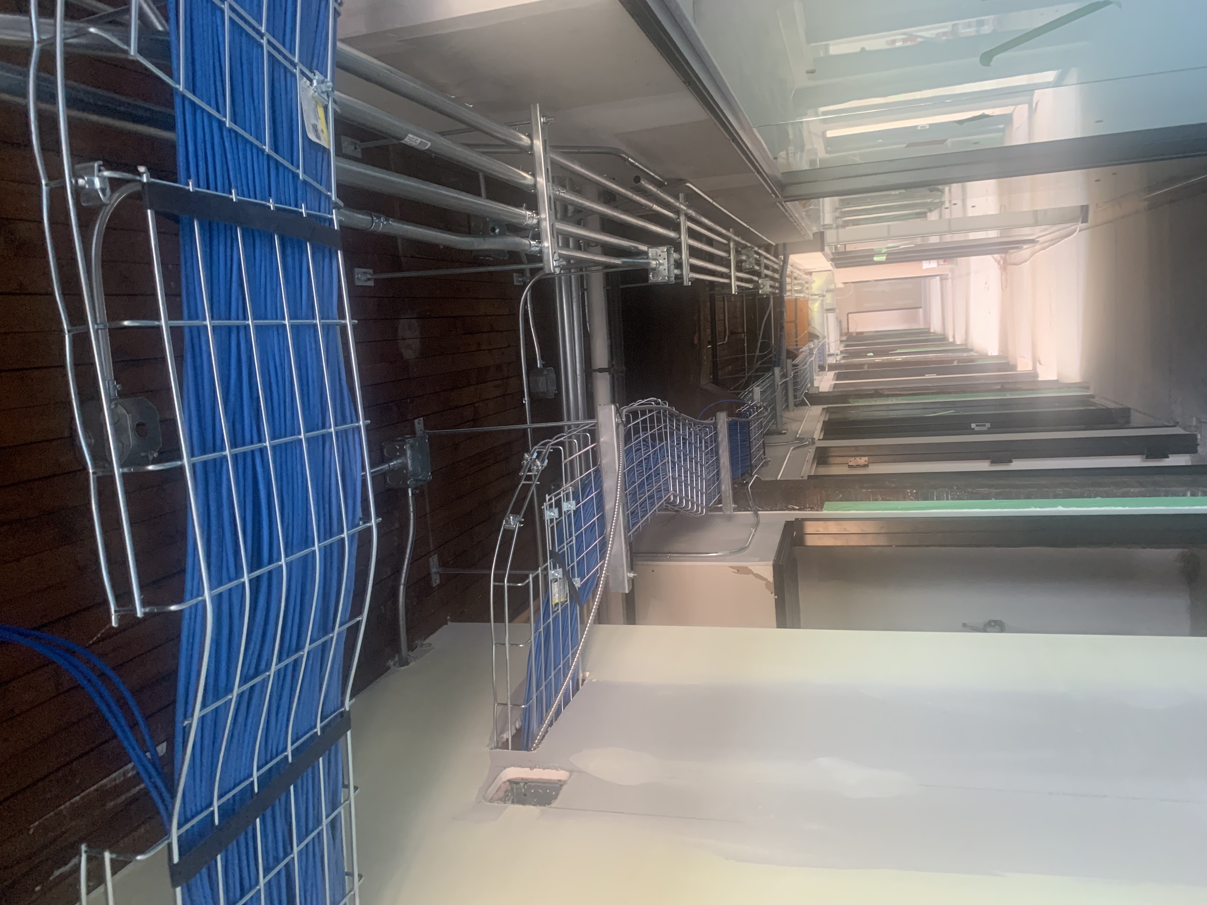 Tray & Conduit installation